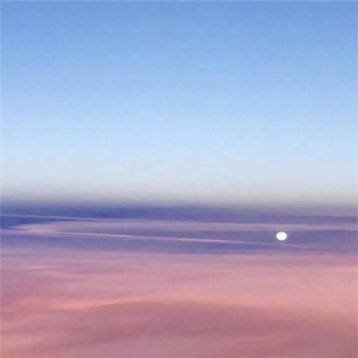 星际扩散国际版下载